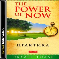 Аудиокнига Практика The Power of Now Экхарт Толле Аудиокнига Практика The Power of Now Экхарт Толле